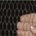 hexagonal wire mesh, chicken wire for bird cage, poultry wire chicken wire